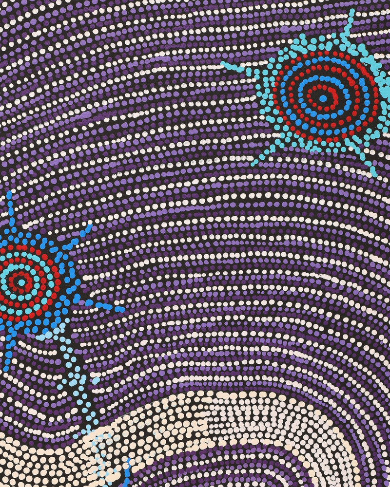 Aboriginal Artwork by Shanna Napanangka Williams, Seven Sisters Dreaming, 152x61cm