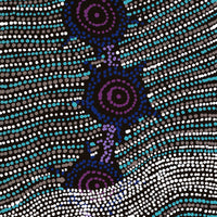 Aboriginal Artwork by Shanna Napanangka Williams, Seven Sisters Dreaming, 76x30cm