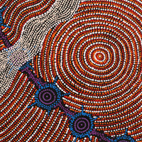 Aboriginal Artwork by Shanna Napanangka Williams, Seven Sisters Dreaming, 76x76cm