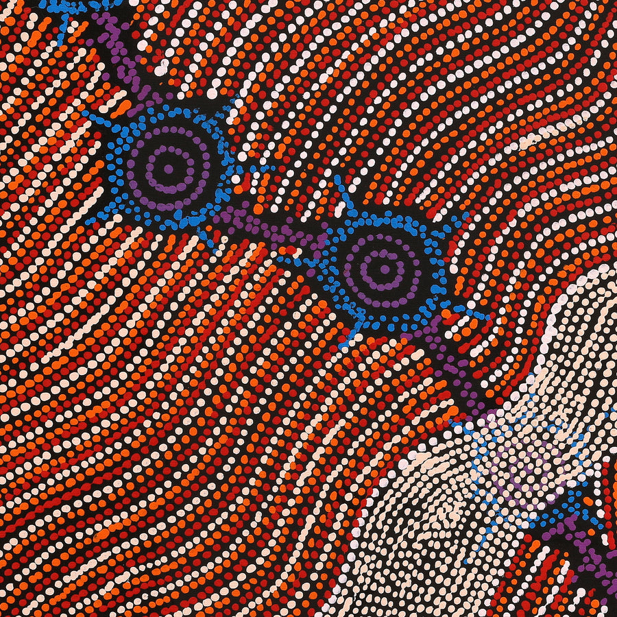 Aboriginal Artwork by Shanna Napanangka Williams, Seven Sisters Dreaming, 76x76cm