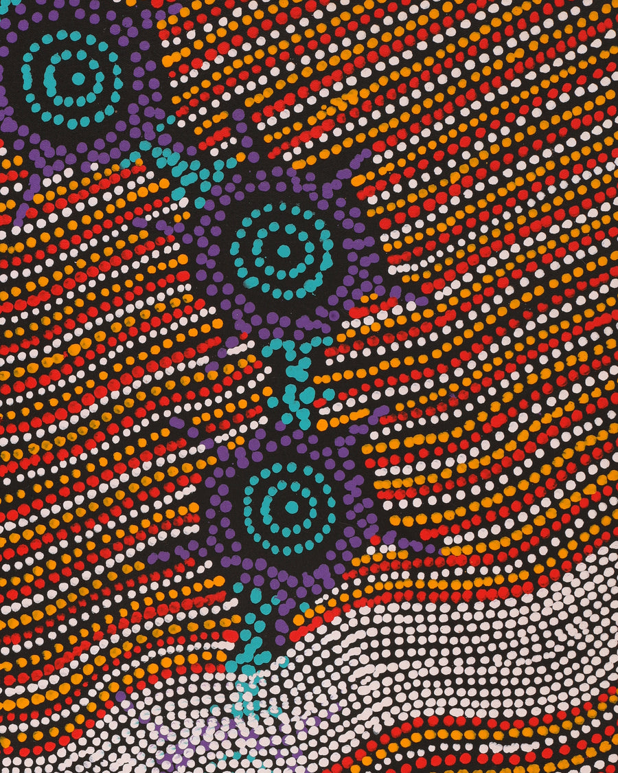 Aboriginal Artwork by Shanna Napanangka Williams, Seven Sisters Dreaming, 61x30cm