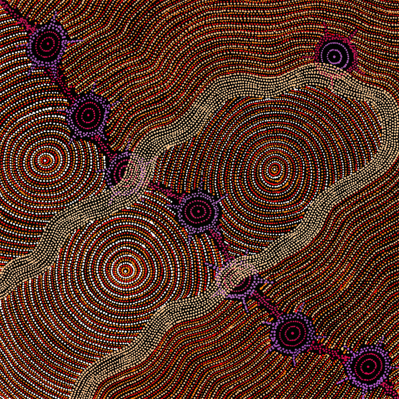 Aboriginal Artwork by Shanna Napanangka Williams, Seven Sisters Dreaming, 91x91cm