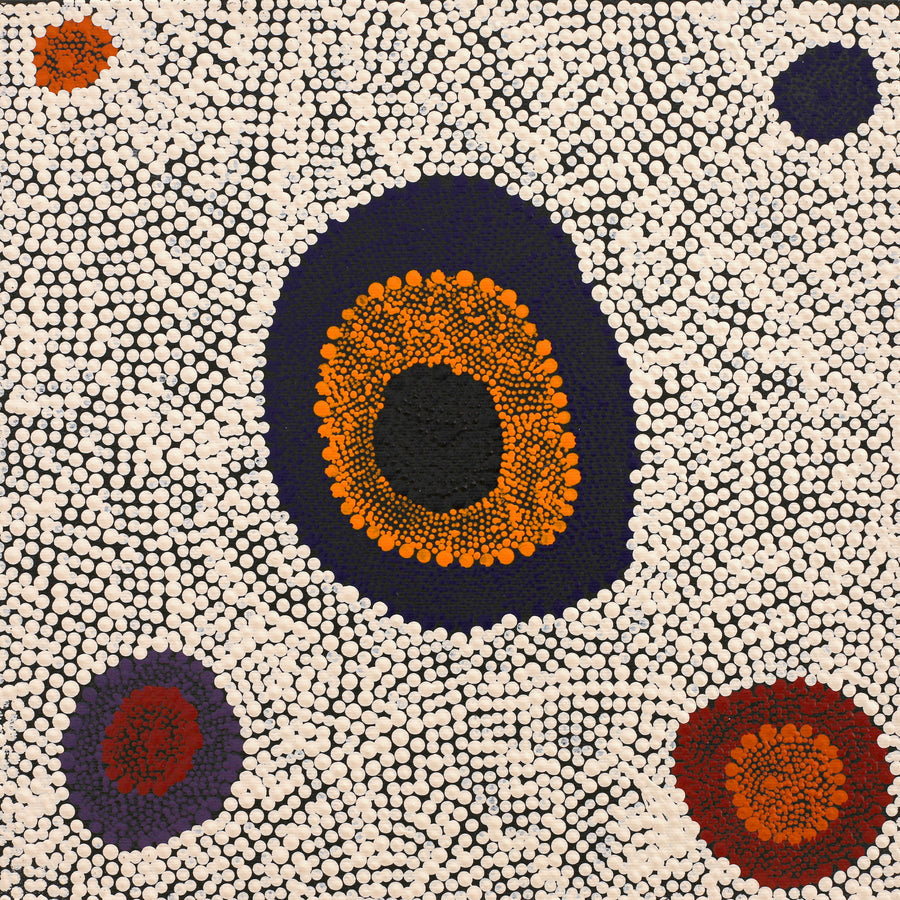 Aboriginal Artwork by Sheree Napurrurla Wayne, Lukarrara Jukurrpa (Desert Fringe-rush Seed Dreaming), 30x30cm