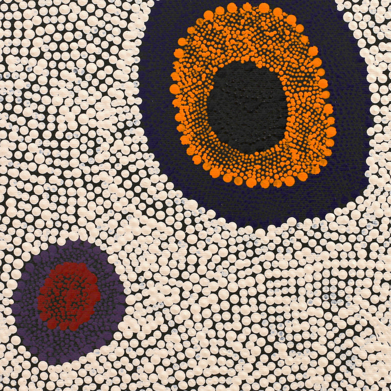 Aboriginal Artwork by Sheree Napurrurla Wayne, Lukarrara Jukurrpa (Desert Fringe-rush Seed Dreaming), 30x30cm