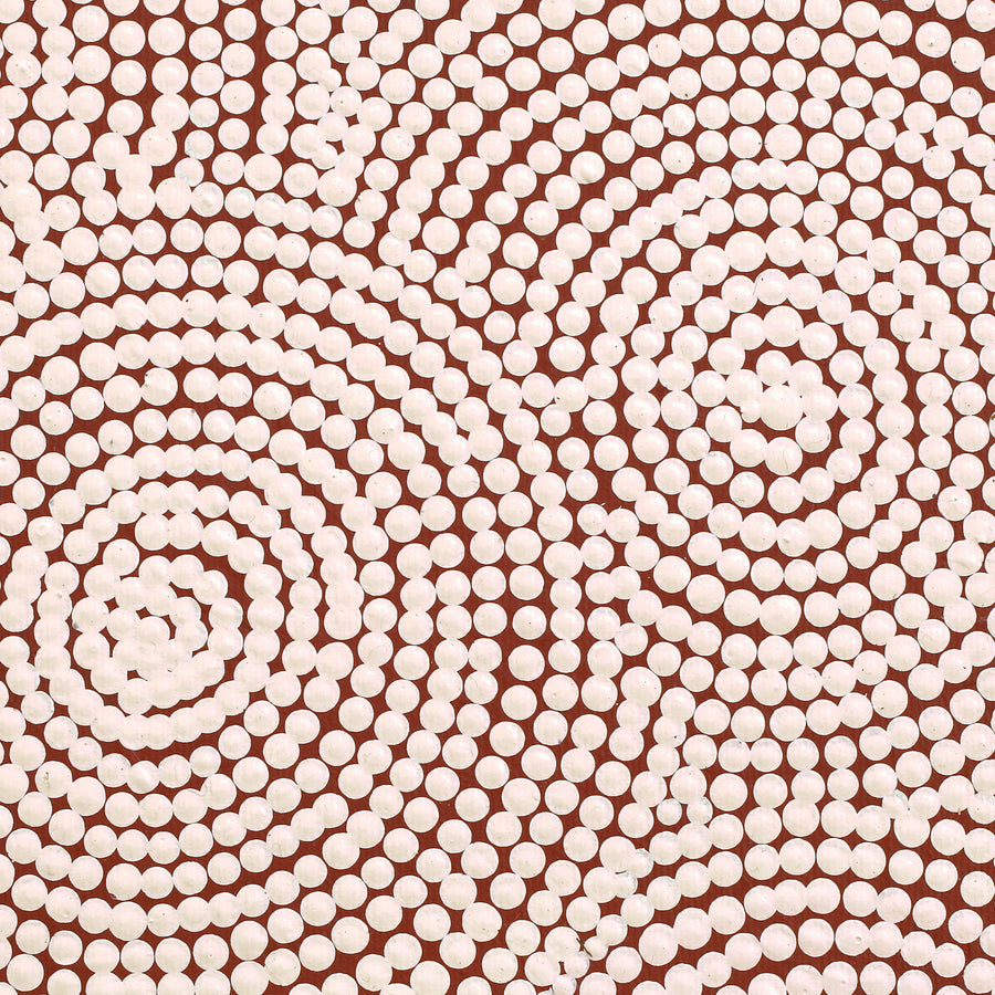 Aboriginal Artwork by Shonelle Napurrurla Stafford, Lukarrara Jukurrpa (Desert Fringe-rush Seed Dreaming), 30x30cm
