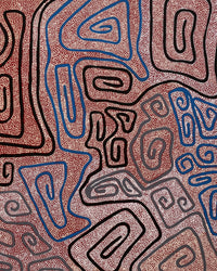 Stephanie Napurrurla Nelson, Yarla Jukurrpa (Bush Potato Dreaming) - Yumurrpa, 122x107cm
