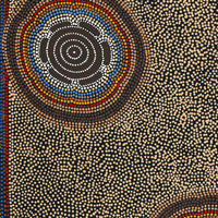 Aboriginal Artwork by Stephanie Napurrurla Nelson, Pamapardu Jukurrpa (Flying Ant Dreaming) - Wapurtali, 122x61cm
