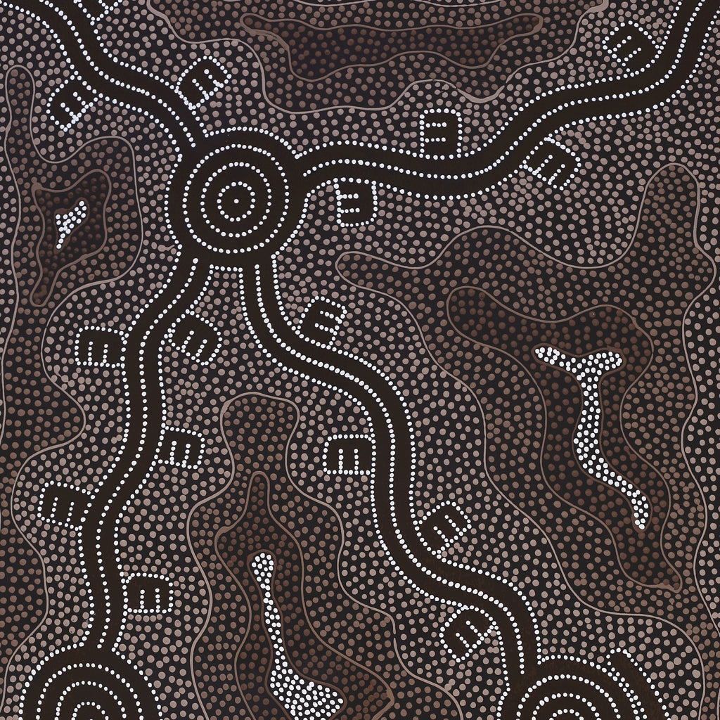 Aboriginal Artwork by Stephanie Napurrurla Nelson, Janganpa Jukurrpa (Brush-tail Possum Dreaming) - Mawurrji, 122x61cm