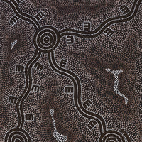 Aboriginal Artwork by Stephanie Napurrurla Nelson, Janganpa Jukurrpa (Brush-tail Possum Dreaming) - Mawurrji, 122x61cm