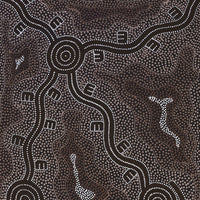 Aboriginal Art by Stephanie Napurrurla Nelson, Janganpa Jukurrpa (Brush-tail Possum Dreaming) - Mawurrji, 122x61cm - ART ARK®