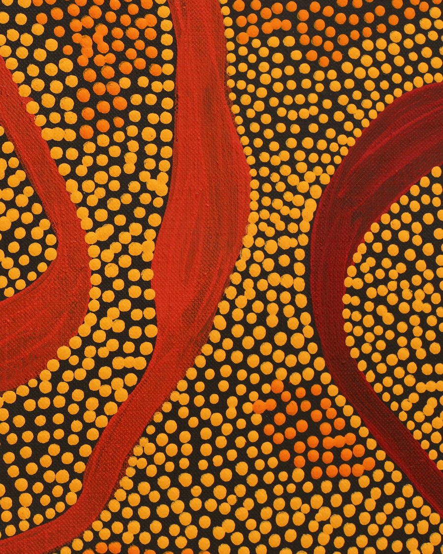 Stephanie Napurrurla Nelson, Yarla Jukurrpa (Bush Potato Dreaming) - Yumurrpa, 183x91cm