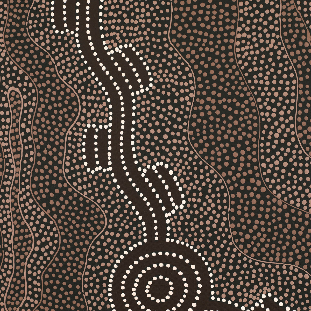 Aboriginal Art by Stephanie Napurrurla Nelson, Janganpa Jukurrpa (Brush-tail Possum Dreaming) - Mawurrji, 76x76cm - ART ARK®