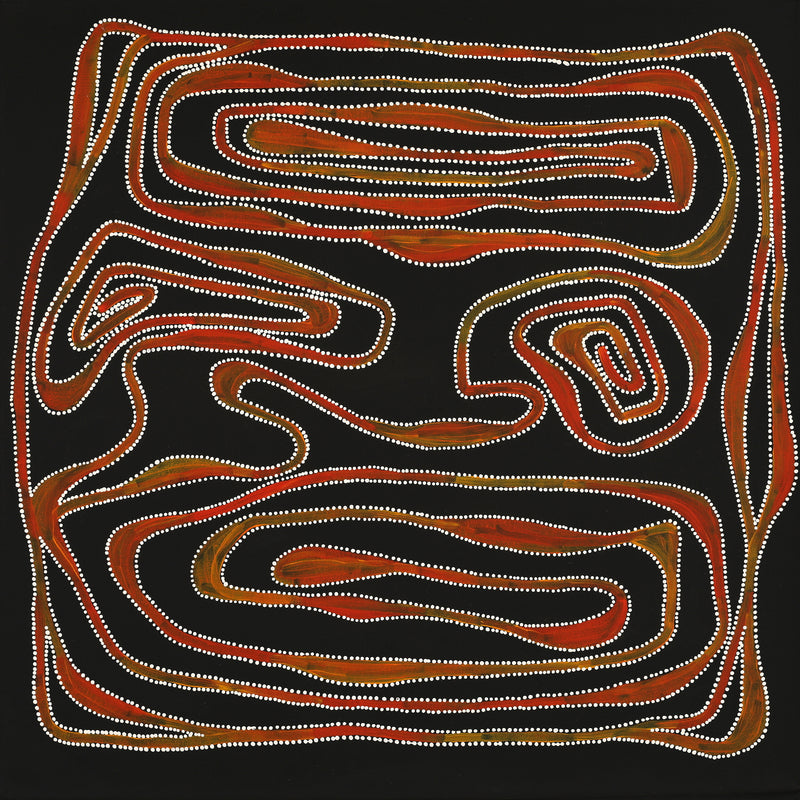 Aboriginal Art by Stephanie Napurrurla Nelson, Yarla Jukurrpa (Bush Potato Dreaming) - Yumurrpa, 76x76cm - ART ARK®