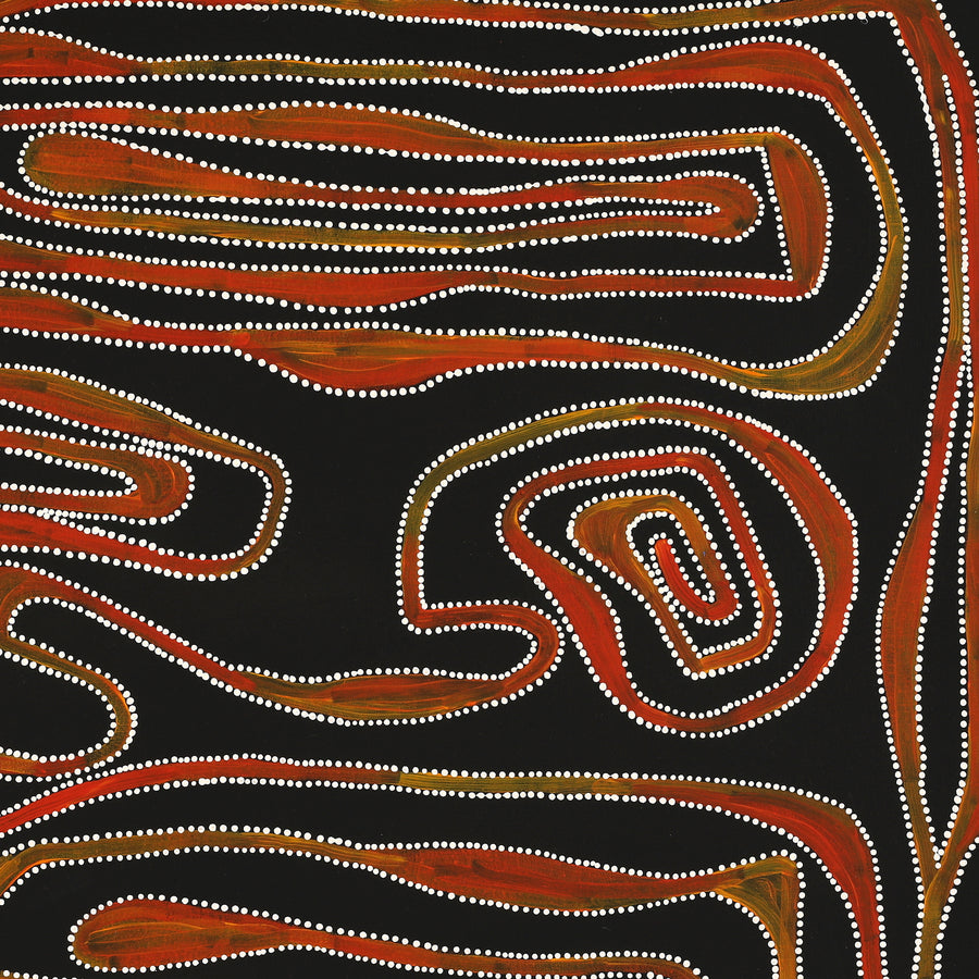 Aboriginal Artwork by Stephanie Napurrurla Nelson, Yarla Jukurrpa (Bush Potato Dreaming) - Yumurrpa, 76x76cm