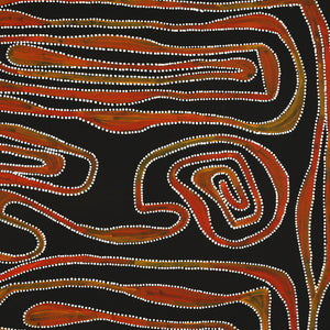 Aboriginal Art by Stephanie Napurrurla Nelson, Yarla Jukurrpa (Bush Potato Dreaming) - Yumurrpa, 76x76cm - ART ARK®