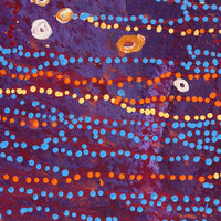 Aboriginal Artwork by Steven Jupurrurla Nelson, Janganpa Jukurrpa (Brush-tail Possum Dreaming) - Mawurrji, 152x107cm