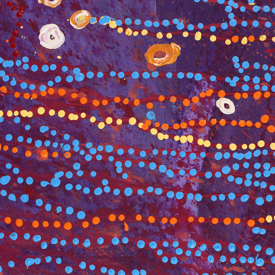 Aboriginal Artwork by Steven Jupurrurla Nelson, Janganpa Jukurrpa (Brush-tail Possum Dreaming) - Mawurrji, 152x107cm