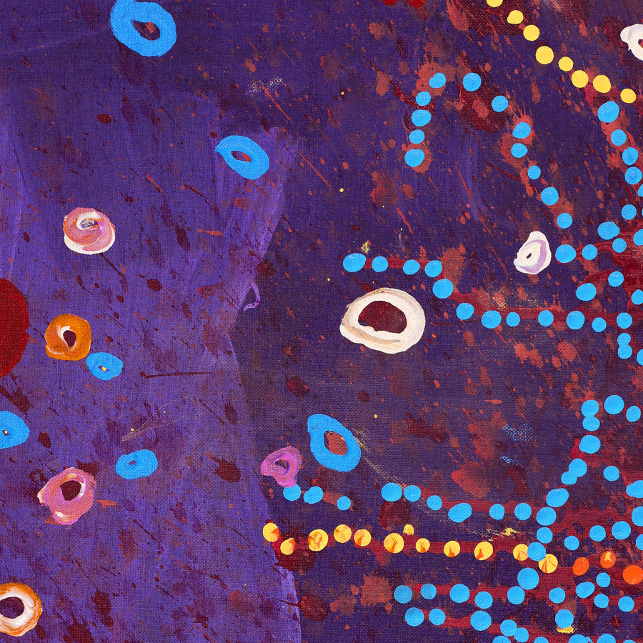 Aboriginal Artwork by Steven Jupurrurla Nelson, Janganpa Jukurrpa (Brush-tail Possum Dreaming) - Mawurrji, 152x107cm