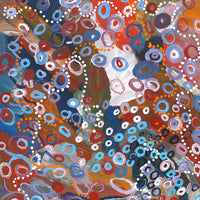 Aboriginal Artwork by Steven Jupurrurla Nelson, Janganpa Jukurrpa (Brush-tail Possum Dreaming) - Mawurrji, 76x46cm