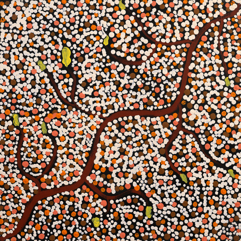 Aboriginal Artwork by Stewart Jupurrurla Kelly, Ngapa Jukurrpa (Water Dreaming) - Wapurtali, 30x30cm