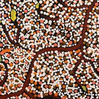 Stewart Jupurrurla Kelly, Ngapa Jukurrpa (Water Dreaming) - Wapurtali, 30x30cm