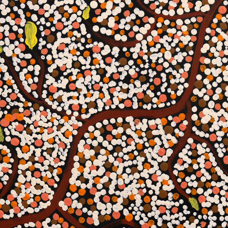 Aboriginal Artwork by Stewart Jupurrurla Kelly, Ngapa Jukurrpa (Water Dreaming) - Wapurtali, 30x30cm