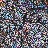 Aboriginal Artwork by Stewart Jupurrurla Kelly, Ngapa Jukurrpa (Water Dreaming) - Wapurtali, 30x30cm