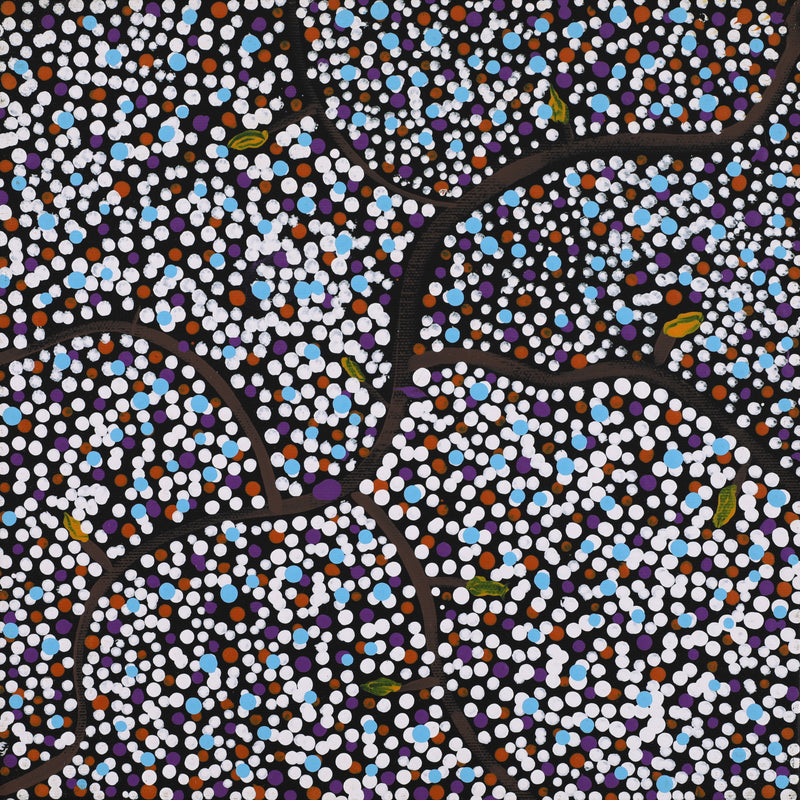 Aboriginal Artwork by Stewart Jupurrurla Kelly, Ngapa Jukurrpa (Water Dreaming) - Wapurtali, 30x30cm