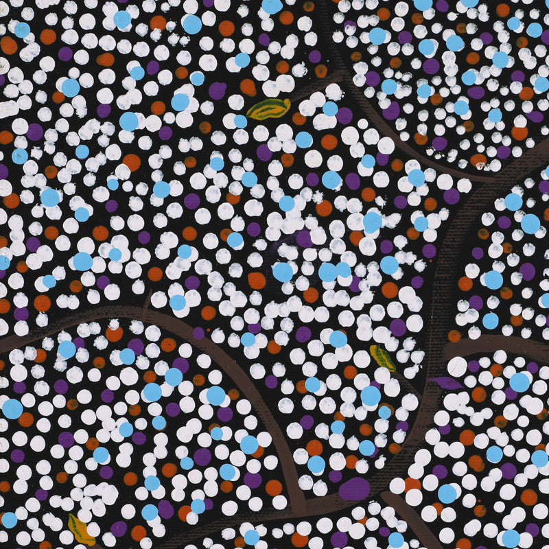Aboriginal Artwork by Stewart Jupurrurla Kelly, Ngapa Jukurrpa (Water Dreaming) - Wapurtali, 30x30cm