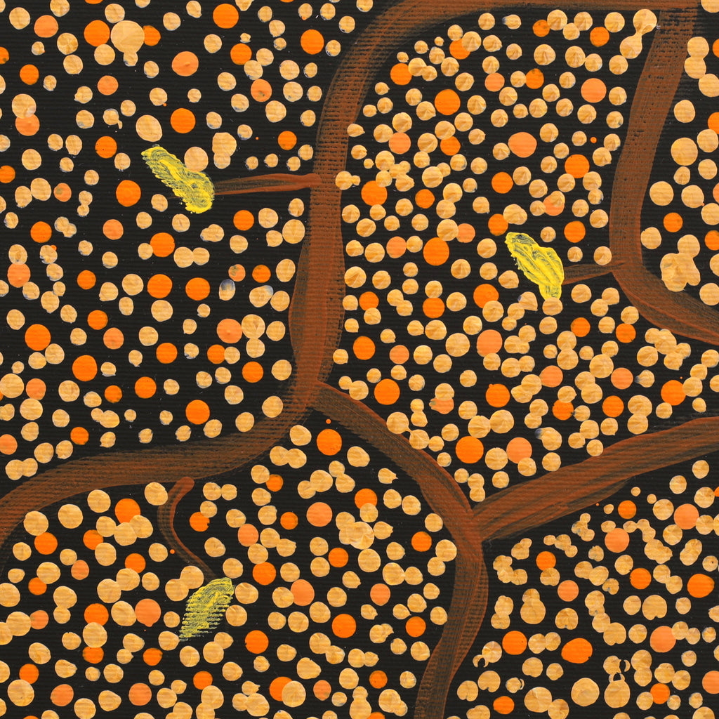 Aboriginal Artwork by Stewart Jupurrurla Kelly, Ngapa Jukurrpa (Water Dreaming) - Wapurtali, 30x30cm