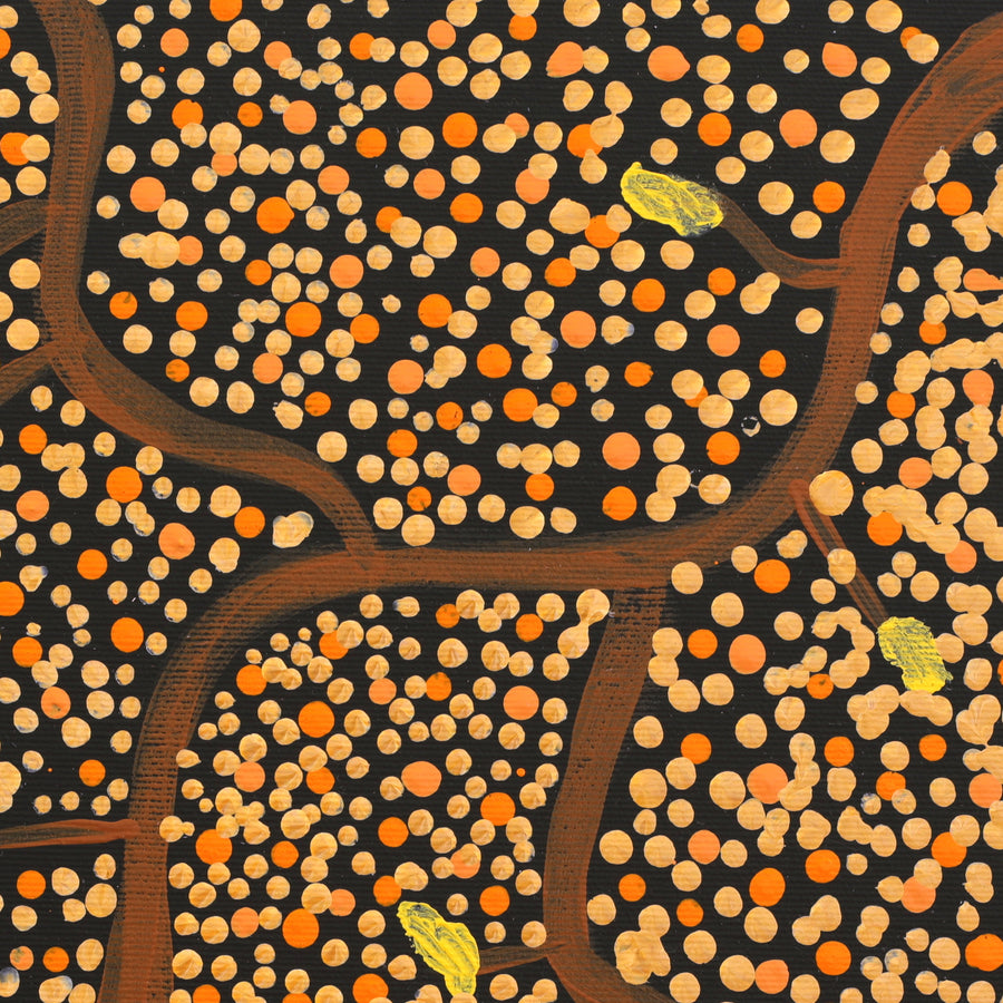 Aboriginal Artwork by Stewart Jupurrurla Kelly, Ngapa Jukurrpa (Water Dreaming) - Wapurtali, 30x30cm