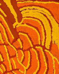Aboriginal Artwork by Susie Prince, Untitled, 91x66cm