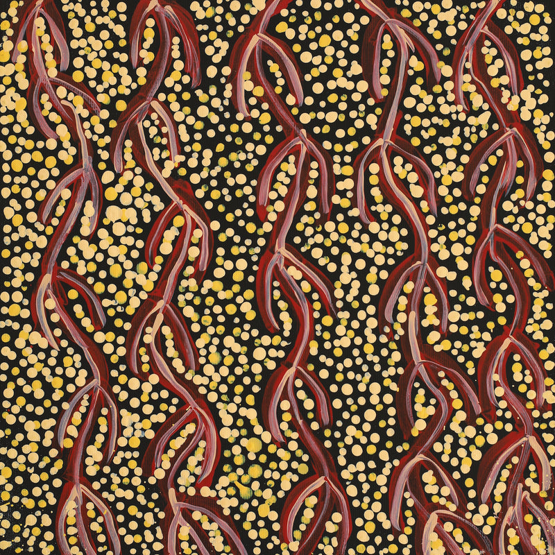 Aboriginal Artwork by Susie Nangala Watson, Mina Mina Dreaming, 30x30cm