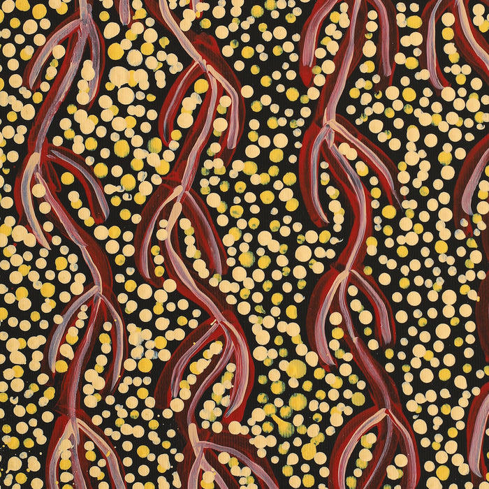 Aboriginal Art by Susie Nangala Watson, Mina Mina Dreaming, 30x30cm - ART ARK®