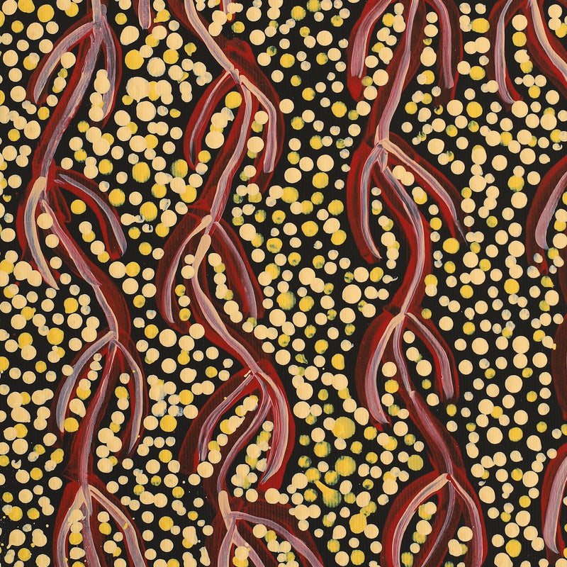 Aboriginal Artwork by Susie Nangala Watson, Mina Mina Dreaming, 30x30cm