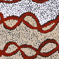 Aboriginal Artwork by Susie Nangala Watson, Mina Mina Dreaming, 30x30cm