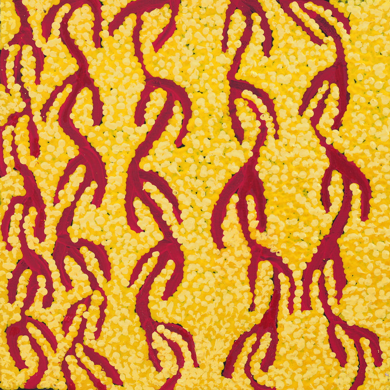 Aboriginal Artwork by Susie Nangala Watson, Mina Mina Dreaming, 30x30cm