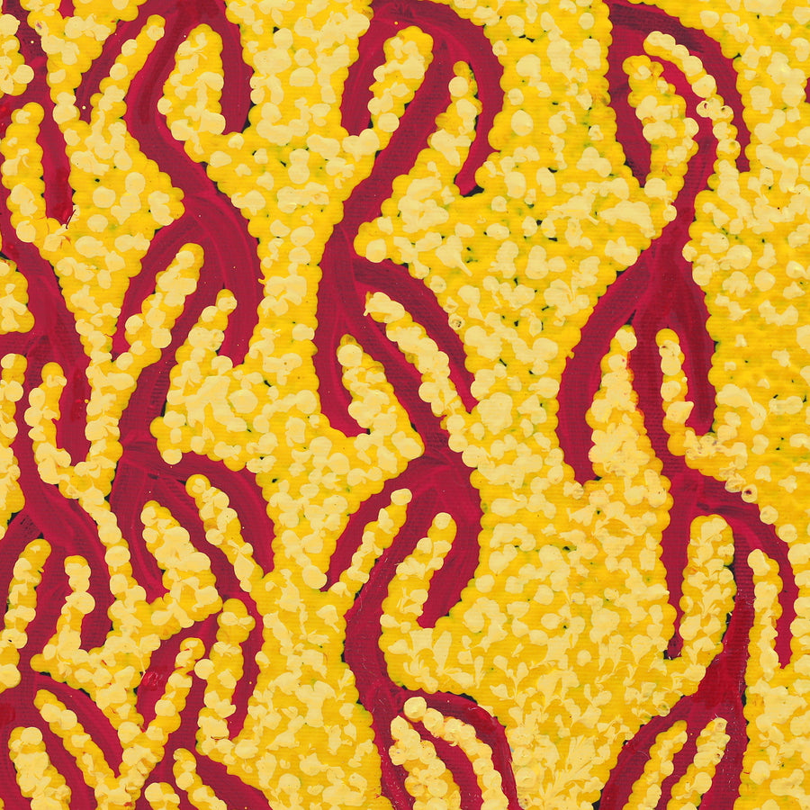 Aboriginal Artwork by Susie Nangala Watson, Mina Mina Dreaming, 30x30cm