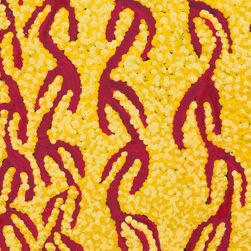 Aboriginal Artwork by Susie Nangala Watson, Mina Mina Dreaming, 30x30cm