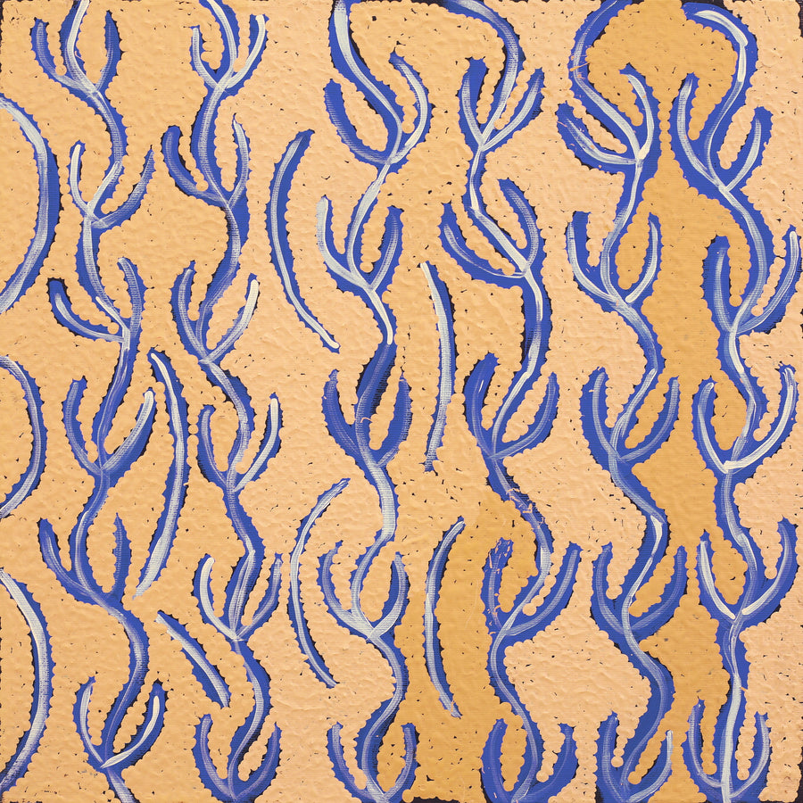 Aboriginal Artwork by Susie Nangala Watson, Mina Mina Dreaming, 40x40cm