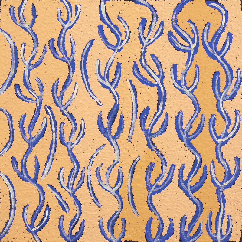 Aboriginal Artwork by Susie Nangala Watson, Mina Mina Dreaming, 40x40cm