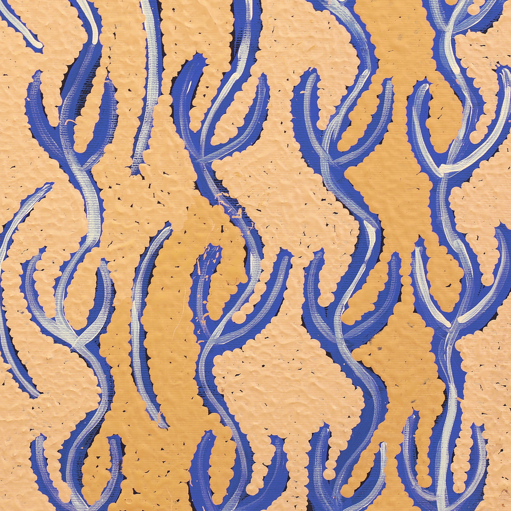 Aboriginal Artwork by Susie Nangala Watson, Mina Mina Dreaming, 40x40cm