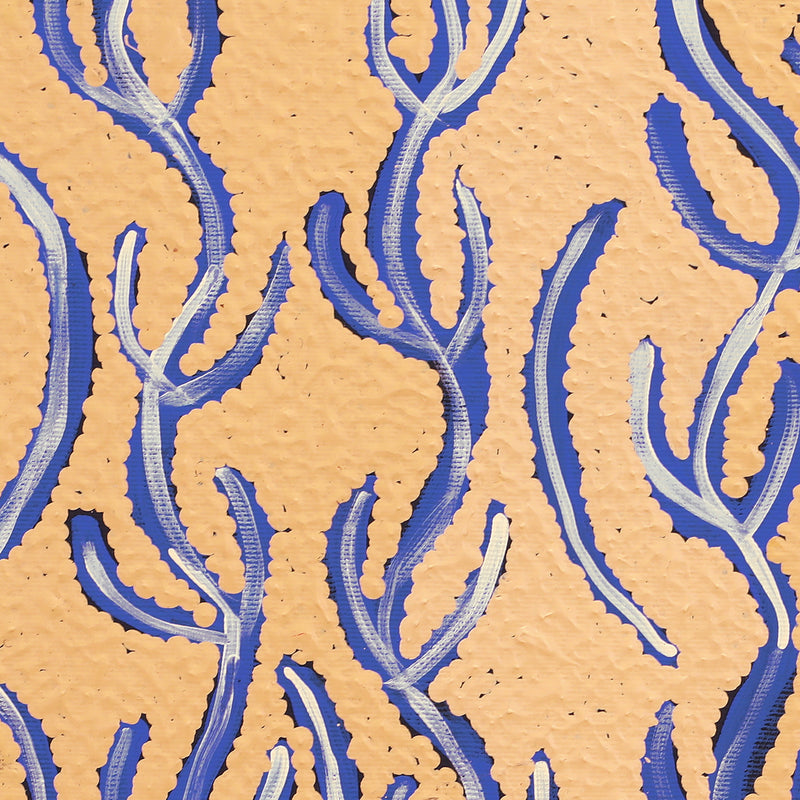 Aboriginal Artwork by Susie Nangala Watson, Mina Mina Dreaming, 40x40cm