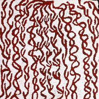 Aboriginal Artwork by Susie Nangala Watson, Mina Mina Dreaming, 46x46cm