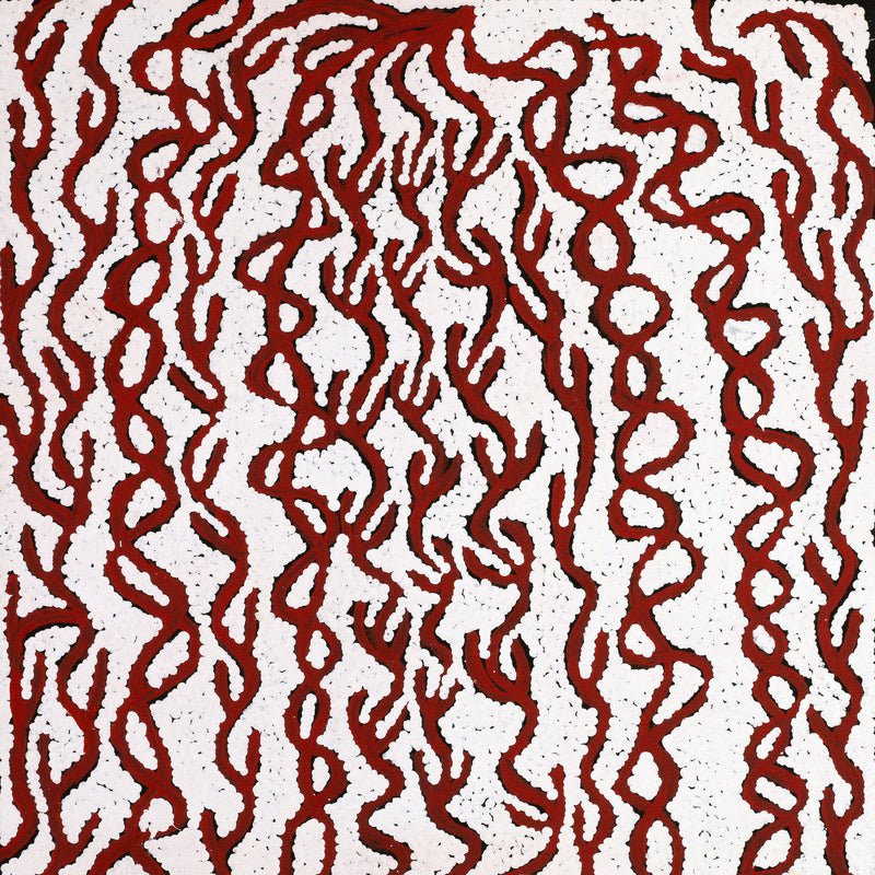 Aboriginal Artwork by Susie Nangala Watson, Mina Mina Dreaming, 46x46cm