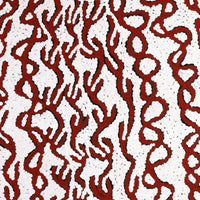 Aboriginal Artwork by Susie Nangala Watson, Mina Mina Dreaming, 46x46cm