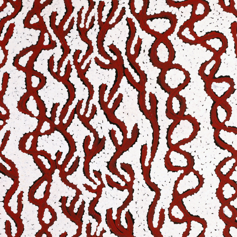 Aboriginal Artwork by Susie Nangala Watson, Mina Mina Dreaming, 46x46cm