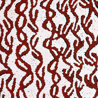 Aboriginal Artwork by Susie Nangala Watson, Mina Mina Dreaming, 46x46cm