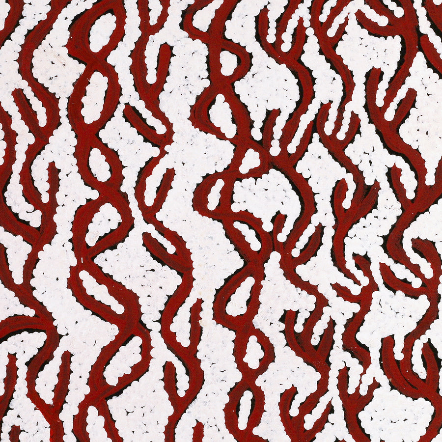 Aboriginal Artwork by Susie Nangala Watson, Mina Mina Dreaming, 46x46cm