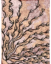 Aboriginal Artwork by Susie Nangala Watson, Mina Mina Dreaming, 61x46cm